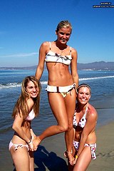Bikini chicks tease the hot hunter